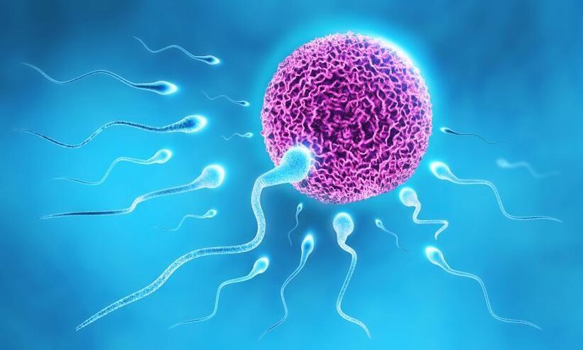spermie v zložení lubrikantu u mužov