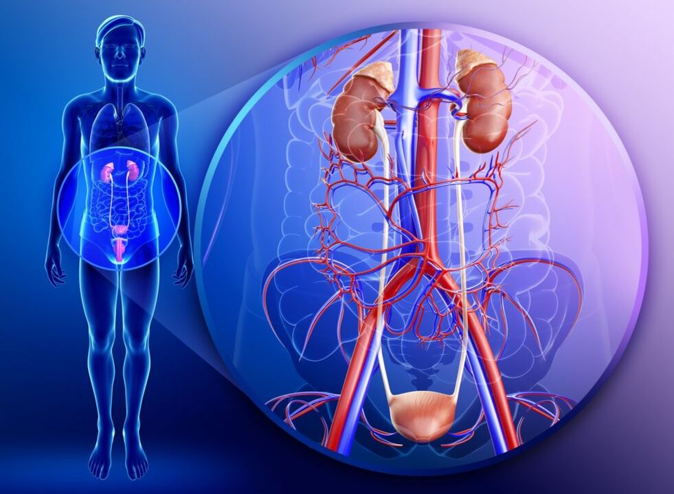 Pri zápale orgánov urogenitálneho systému je liečba zázvorom zakázaná. 